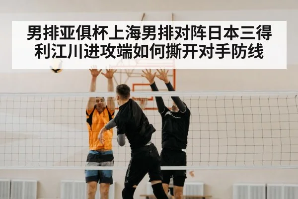volleyball block net